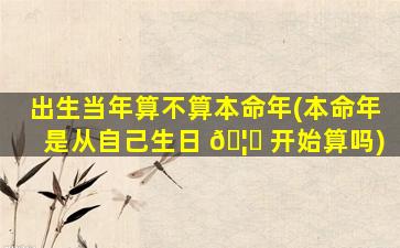 出生当年算不算本命年(本命年是从自己生日 🦟 开始算吗)